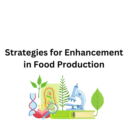 Strategies for Enhancement in Food Production